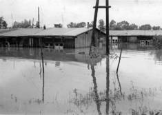 Das Hochwasser von 1954
