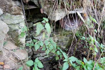 Der traurige Rest der Plattenmühle